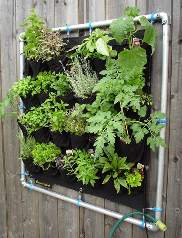 Fence hanging garden