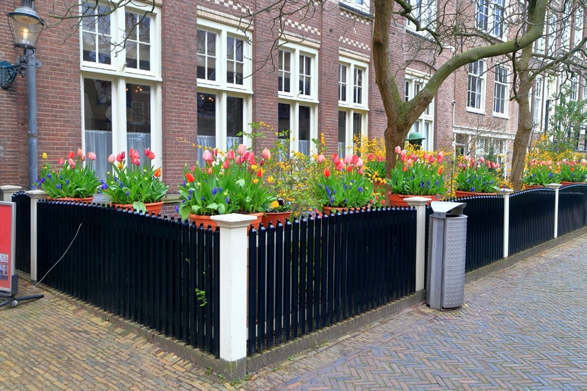 metal fence with flowers and planters