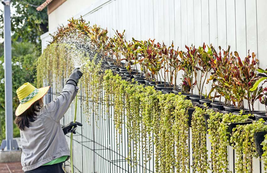 Fence with hanging pots with plants