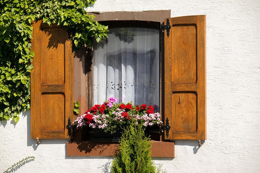 Flower box in window with wood shutters