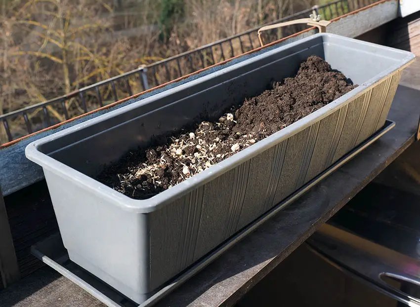 Flower box planter with soil