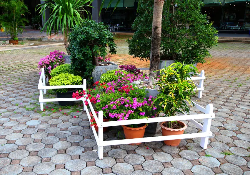 Flowers in pots with decorative fence style flower box