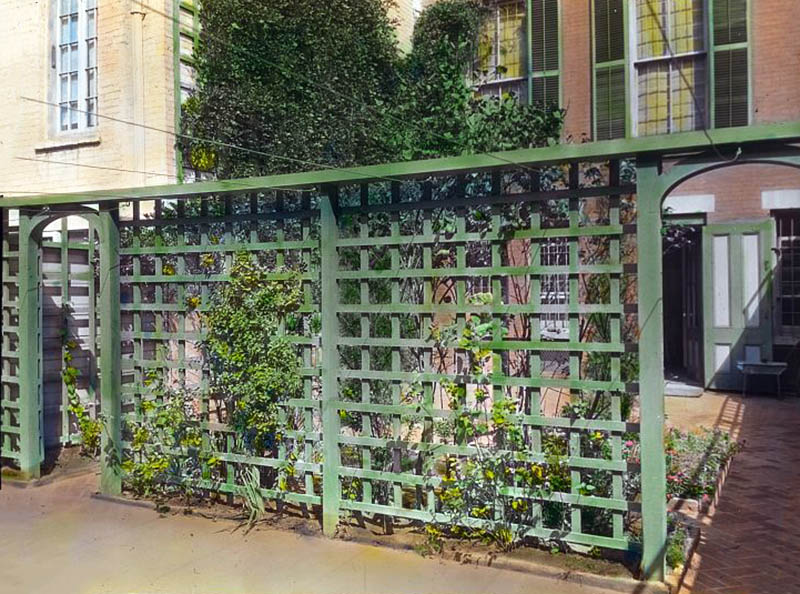 Green wood square lattice fence with climbing vines