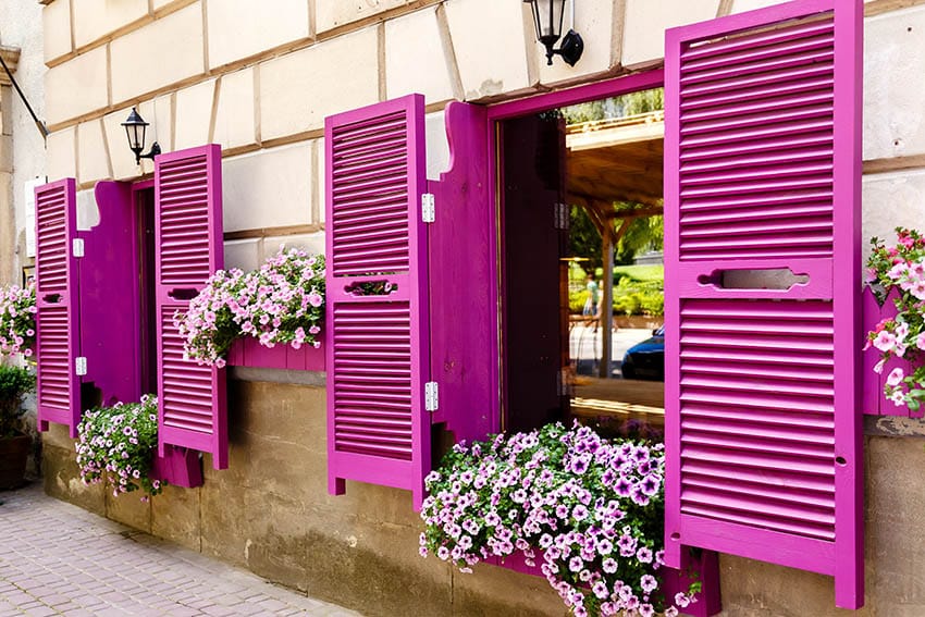 Home with pink shutters and window flower box with petunias