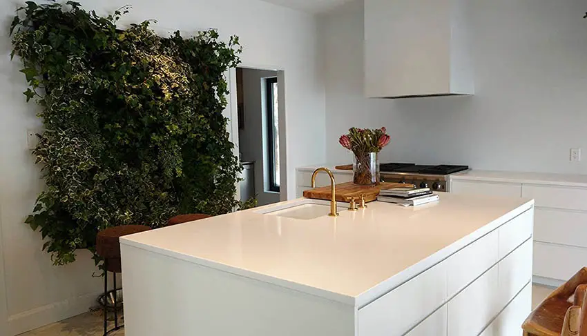 Indoor vertical garden wall planter in kitchen
