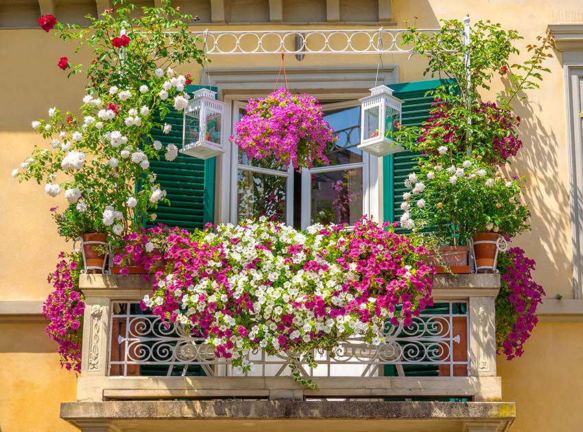 Italian house balcony with flower planters