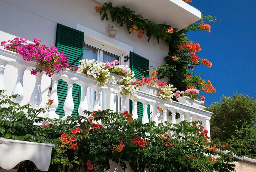 Mediterranean style balcony with beautiful flowers in planter box