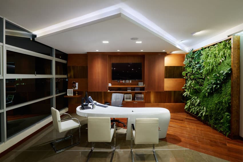 Office with vertical plant garden