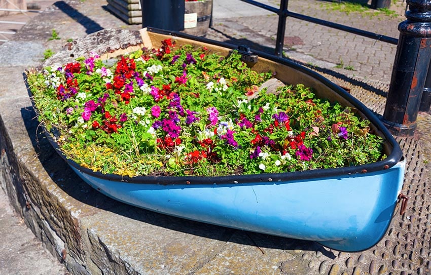 Old boat flower box planter