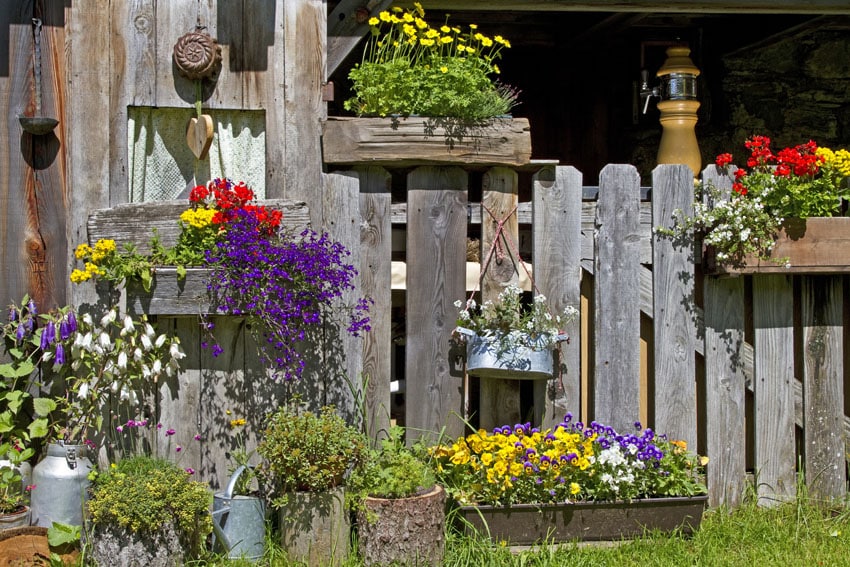 Old wood fence with planter boxes and colorful flowers