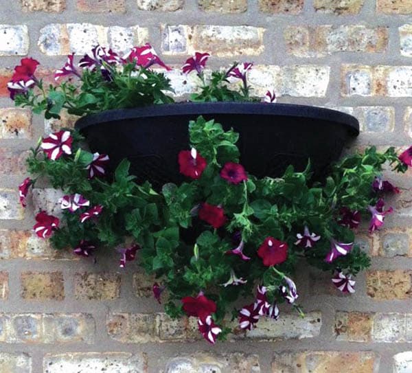 Plastic wall planter for hanging plants