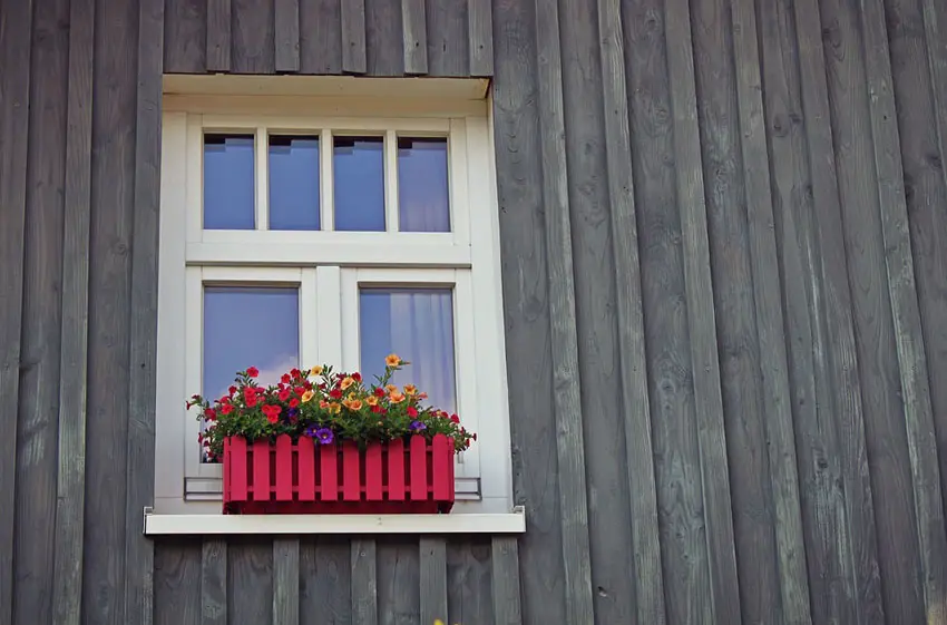 Red flower box in window with flowering plants