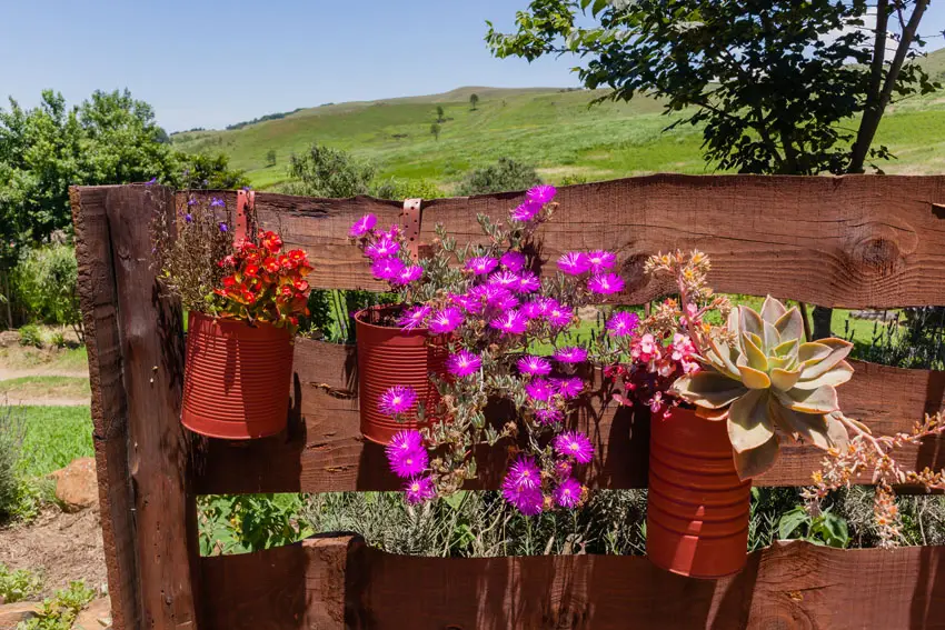Rustic hanging metal pots with flowers on old wooden fence