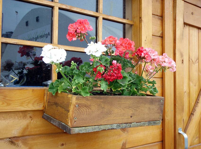 DIY rustic wood flower box in window