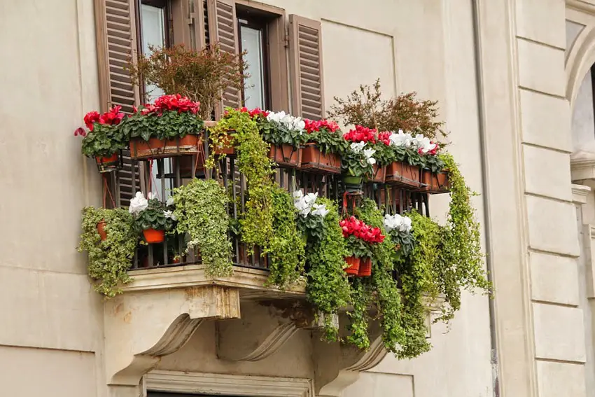 Small balcony with metal railing and flower boxes