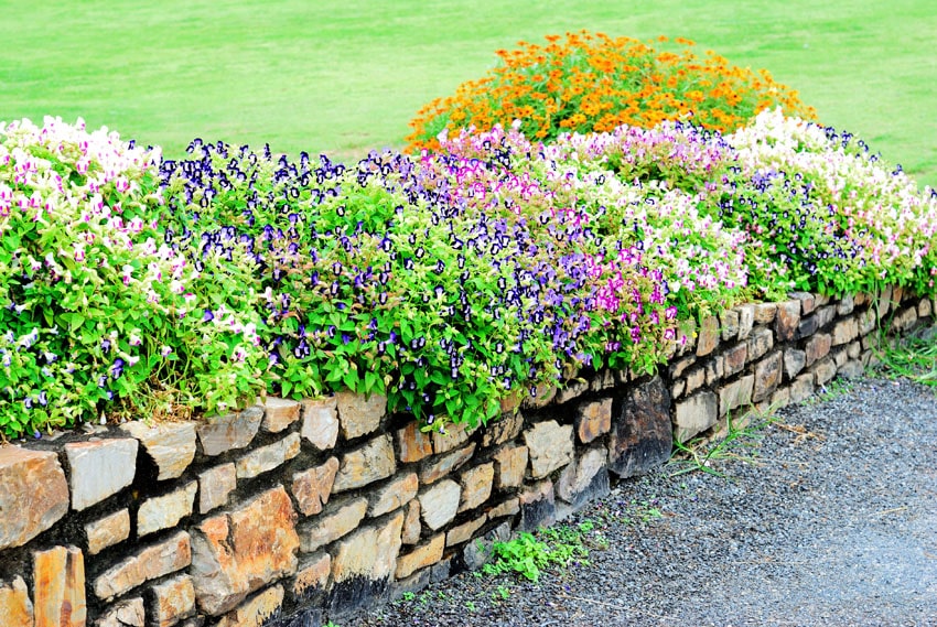 Stone fence with built in planter and pretty flowers