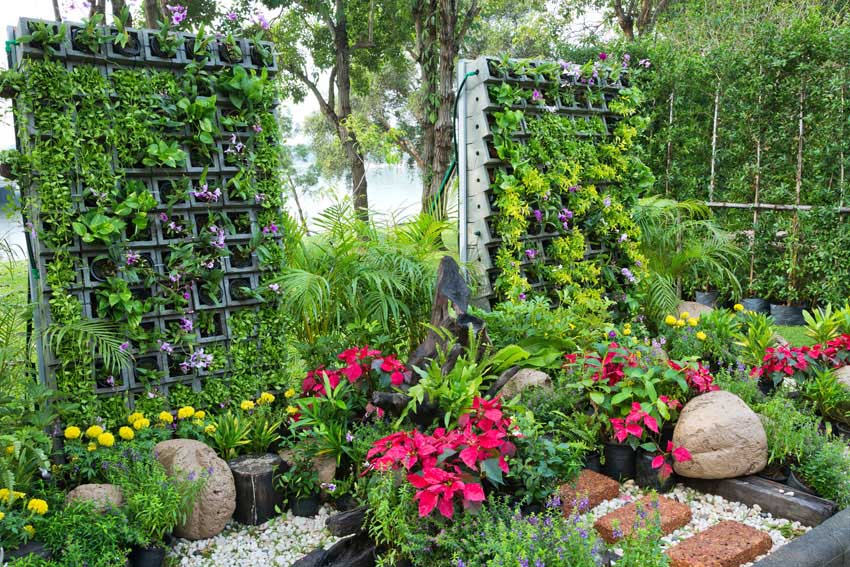 Vertical floral garden in backyard