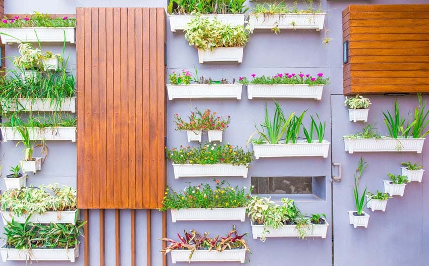 Vertical garden flower boxes