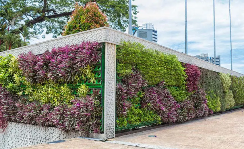 Vertical hanging planter walls in city