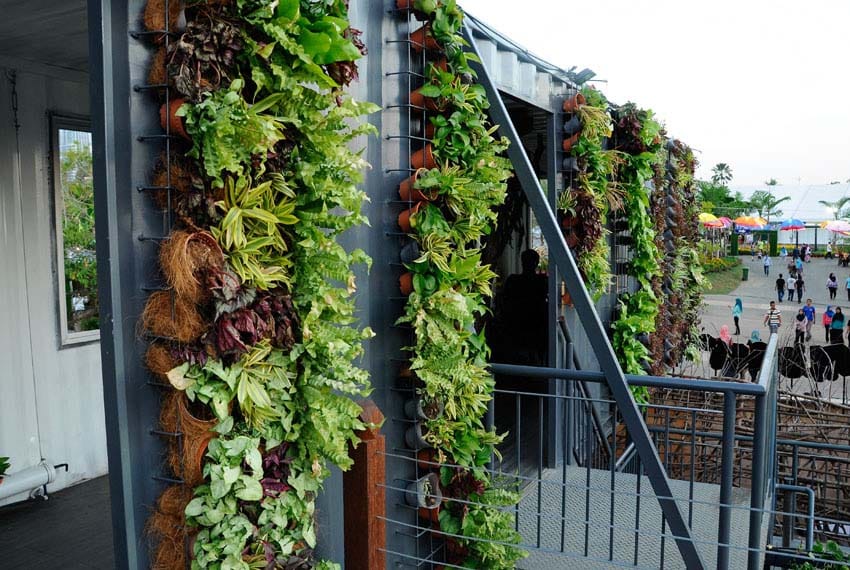 Vertical hanging planters on building