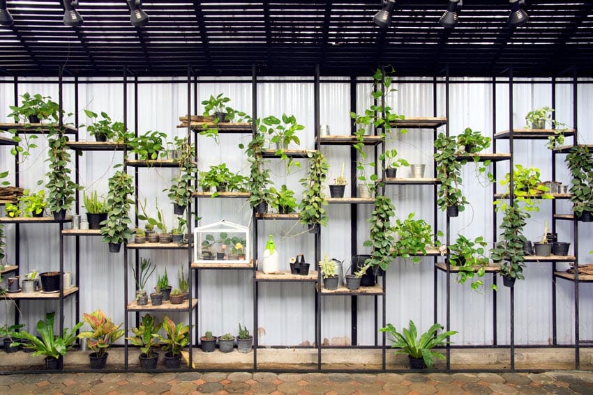 Vertical herb garden on shelves