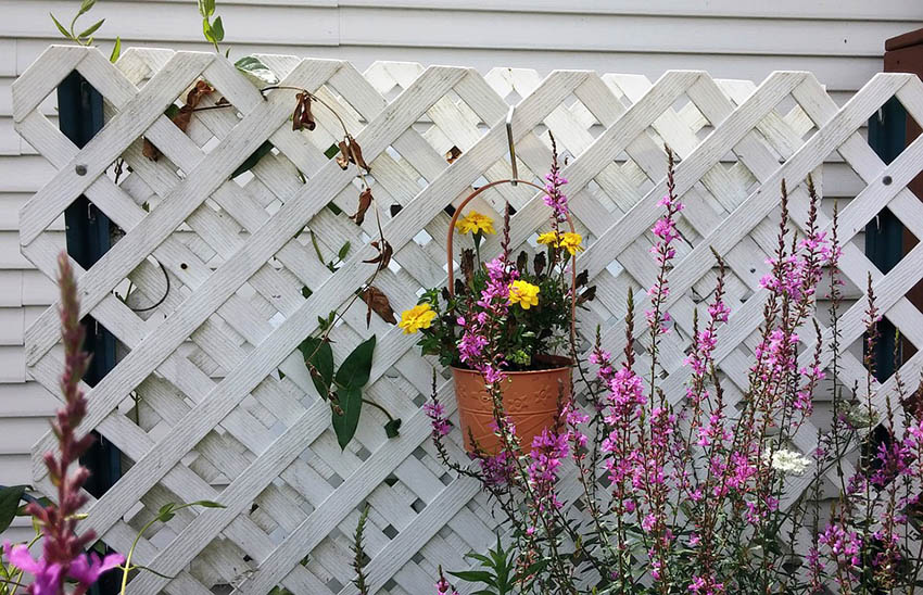 White plastic lattice fence panel with hanging flower pot