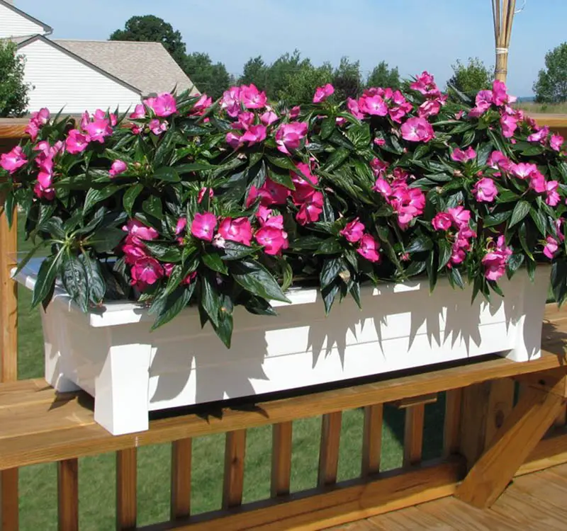White resin planter box with pink flowers on wood deck