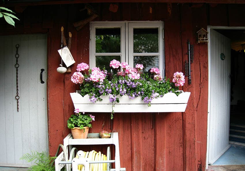 White rustic window box with pink flowers