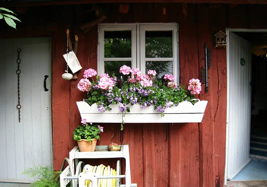 White rustic window box with pink flowers