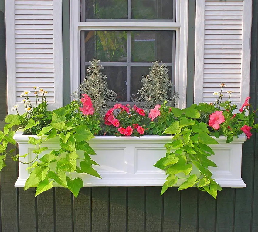White window box planter