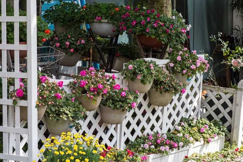 White wood lattice fence with flowers and planters