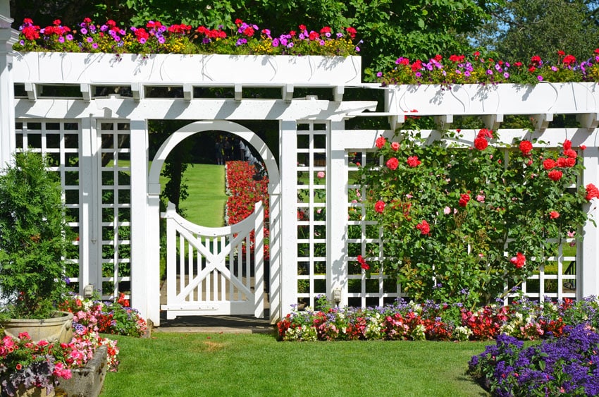 White garden gate with trellis and flower boxes