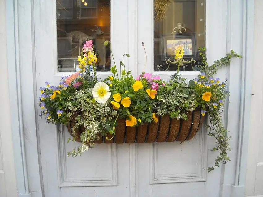 Window flower box with different flowers