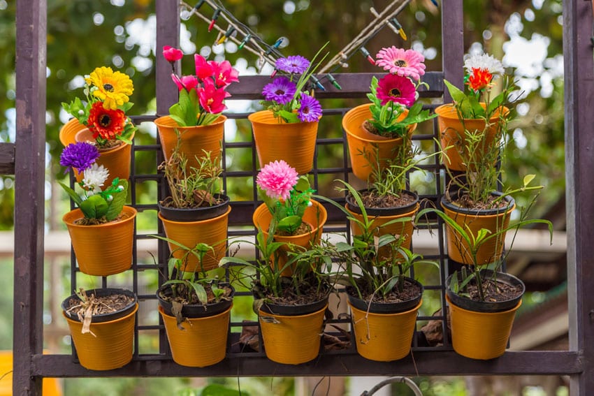 Wooden fence with colorful potted flowers attached to metal lattice