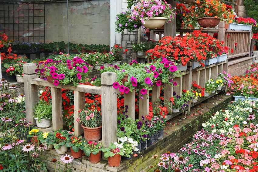 Garden with fence and box planters