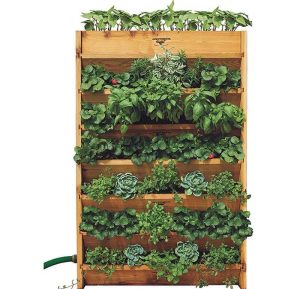 55 Best Vertical Garden Ideas (Planters & DIY Kits)