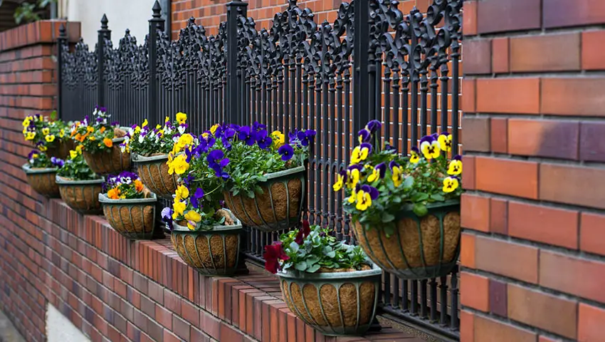 Wrought iron fence with plant boxes and flowers