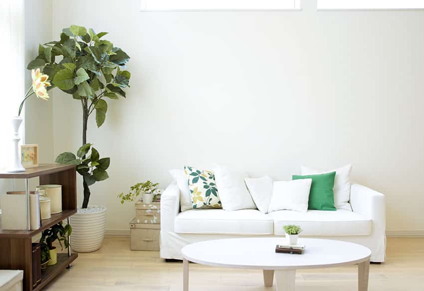 Budget living room with white sofa and houseplants