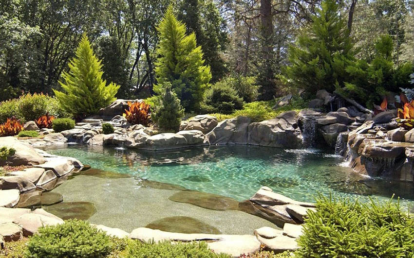 Natural pond design pool with water features