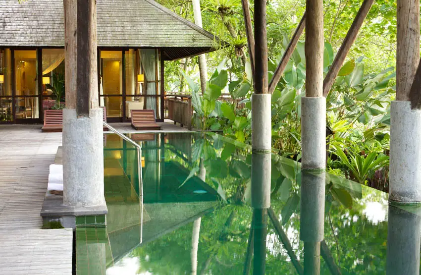 Tropical villa swimming pool overlooking jungle