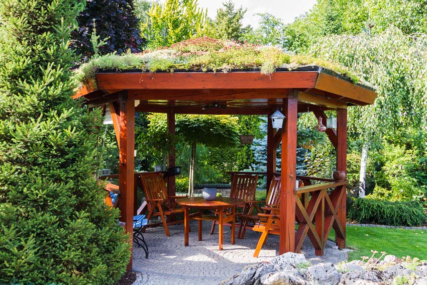 Wood pavilion with climbing vine plants