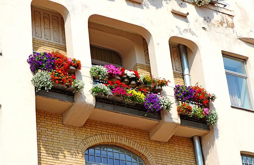 Apartment balcony with flower boxes