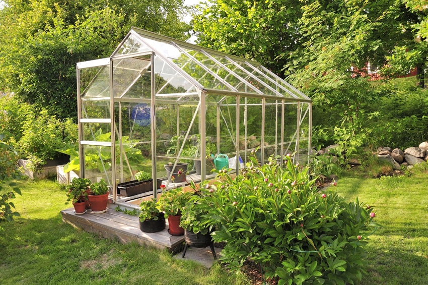 Backyard greenhouse with gabled roof