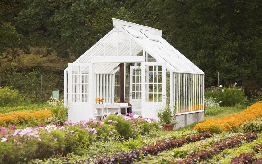 Beautiful white greenhouse in the middle of a garden