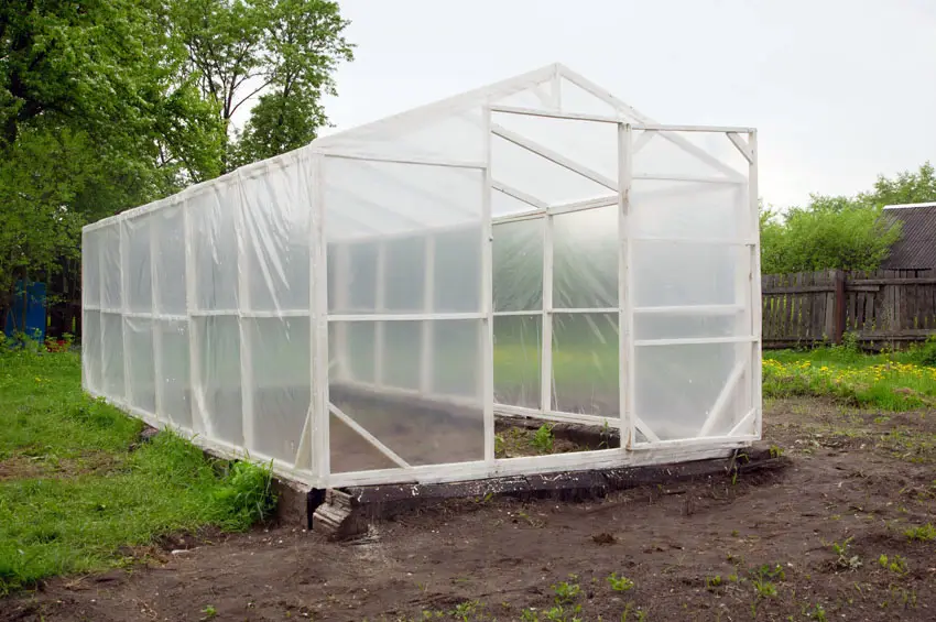 Greenhouse with plastic sheeting