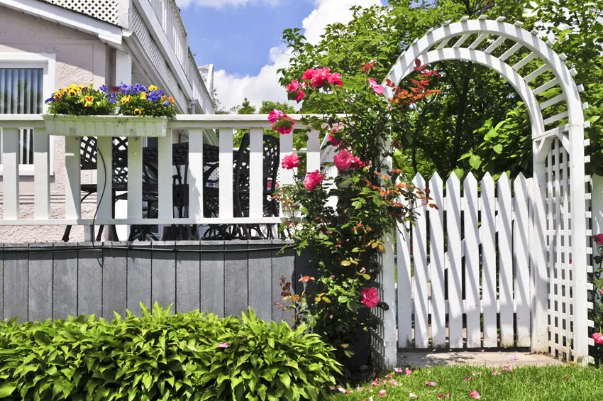 Curved white arbor with gate