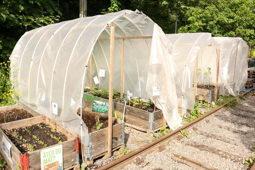 Frost protection for planter garden