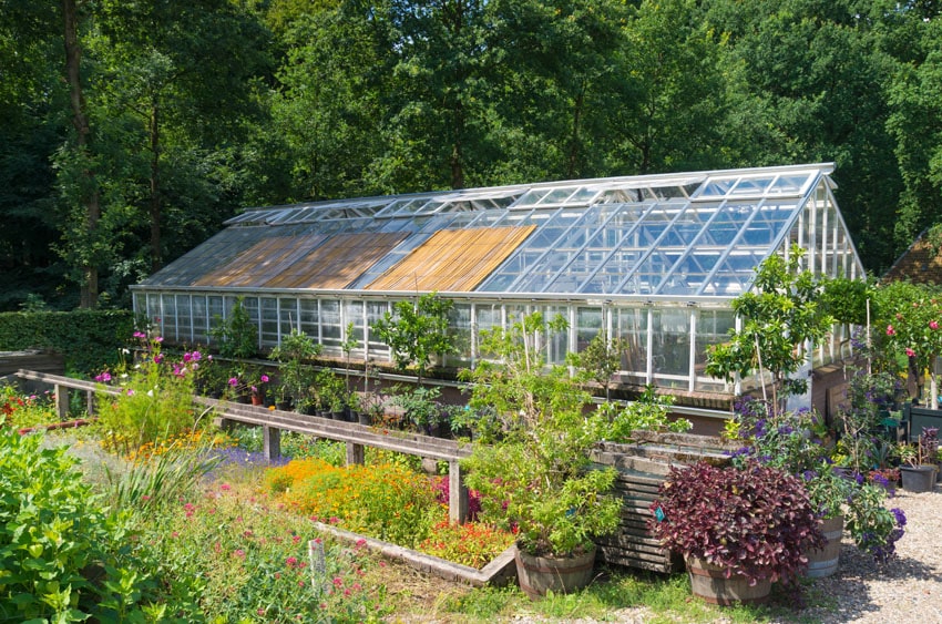 Glass greenhouse in garden