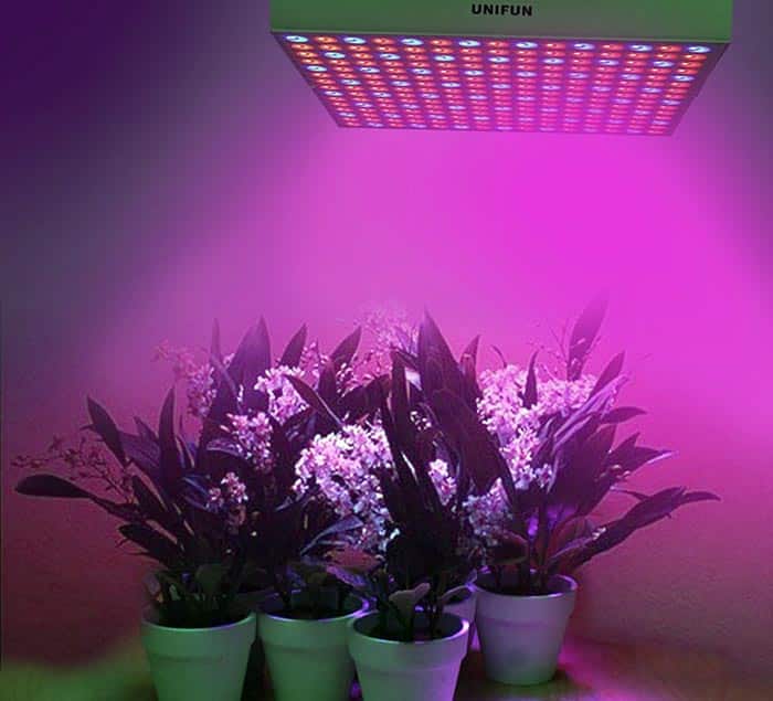 LED greenhouse light