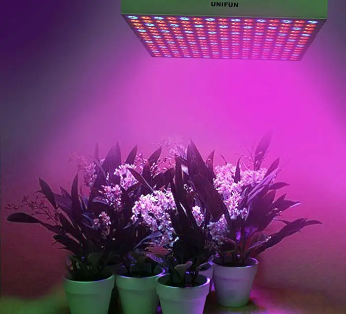 LED greenhouse light